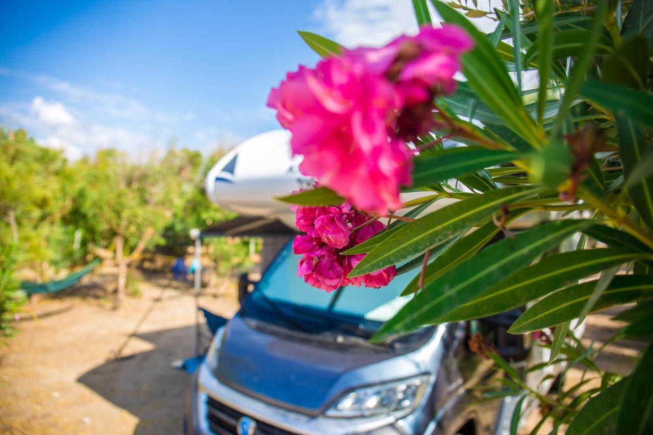 Village & Camping La Foce Valledoria  Εξωτερικό φωτογραφία